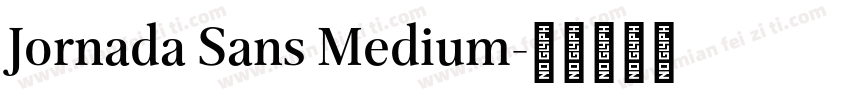 Jornada Sans Medium字体转换